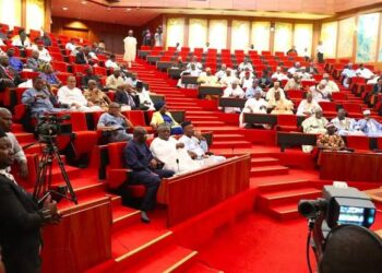 Drama As Senators Fight Over Sitting Arrangement At Renovated Chamber