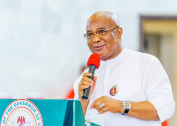 Imo Professionals Back Uzodimma’s ‘Uninterrupted Power Supply’ Plans