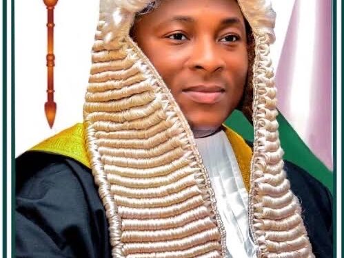 Niger Speaker Halts Wedding Plans for 100 Orphan Girls Amid Legal Battle, Sparks Controversy Over Child Rights