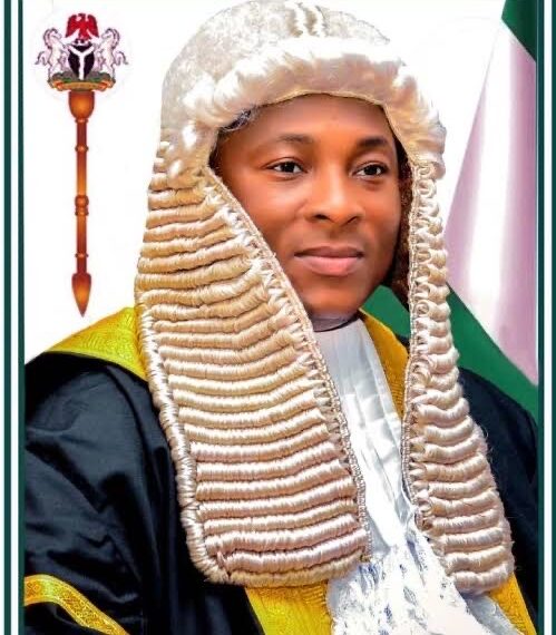 Niger Speaker Halts Wedding Plans for 100 Orphan Girls Amid Legal Battle, Sparks Controversy Over Child Rights