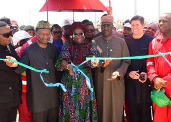 FG Vows to Harness Gas Riches for Economic Growth, Commends OilServ