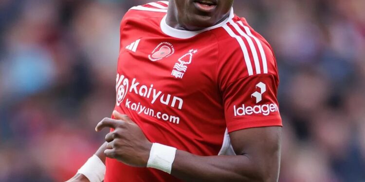 Fulham Saves Forest For A Premier League Return Next Season