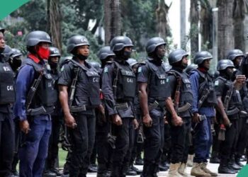 Civil Society Organization And 36 State Houses Of Assembly Endorses The Creation Of State Police