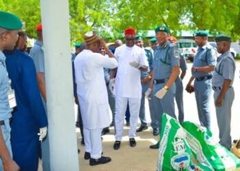 Customs seizes Hard Drugs worth millions of Naira en route North