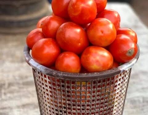 Seasonal Anticipation thrust cost of new tomato basket to N150,000 in Lagos