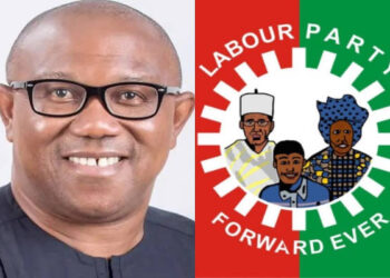 Constitutional Review: Power Decentralization And Electoral Reform Crucial For Nigeria’s Reconstruction – LP