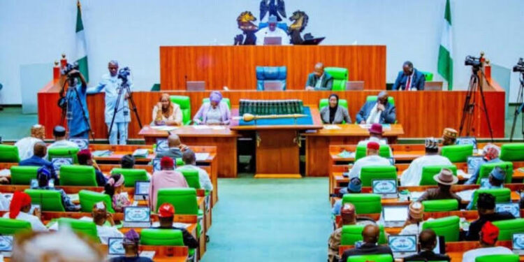 Insecurity: Members of the House of Representatives reject proposal to employ mercenaries
