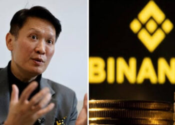 How Federal and State Government Loans Drive Nigeria’s Debt Upward