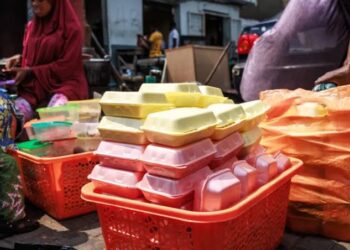 Federal Executive Council Approves Ban on Single-Use Plastics in MDAs