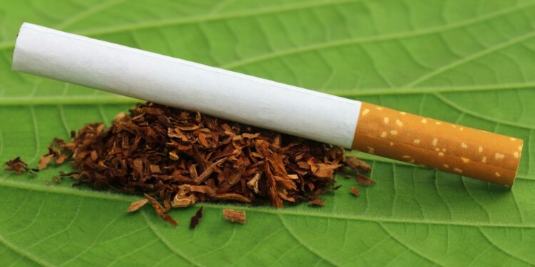 FCCPC Debuts ‘Faith & Fortune’ TV Series to Combat Tobacco among Young Nigerians