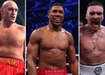Usyk Favors Joshua Over Fury: Ukrainian Boxing Champion Believes Joshua is Better than Fury