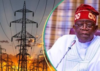 Power Plant Sales Unveiled: Details of $1.15 Billion Deal Disclosed, Shedding Light on Future of Nigeria’s Energy Sector