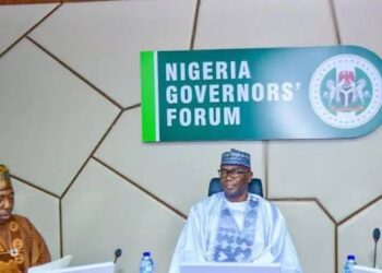 Politician Exposes Root Cause: Constitution to Blame for Local Government Woes