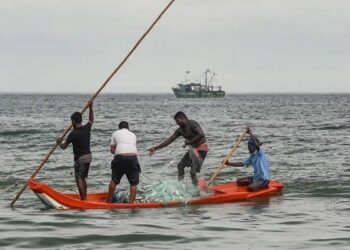 Borno Farmers Seek Government Response: Call for Protection Amid Ongoing Insurgent Threats