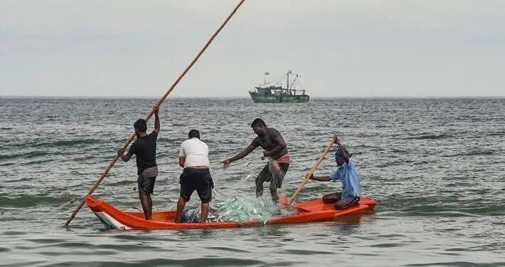 Borno Farmers Seek Government Response: Call for Protection Amid Ongoing Insurgent Threats