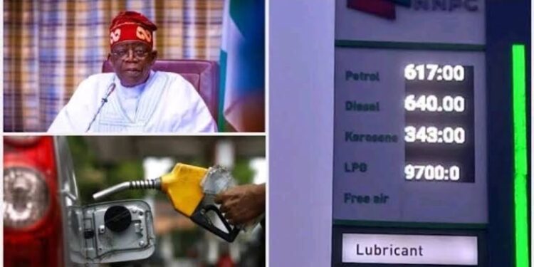 Oil Marketers Anticipate Cheaper Petrol as Dangote Refinery Commences Production