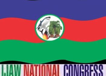 IYN Slams Critics: Scrapping Amnesty Program Would Undermine Niger Delta Stability