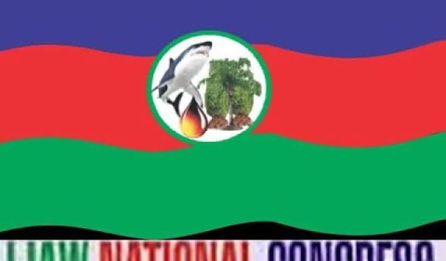 IYN Slams Critics: Scrapping Amnesty Program Would Undermine Niger Delta Stability