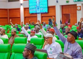 National Assembly Calls for Immediate Arrest of NCAT Director for Allegedly Selling Training Helicopters
