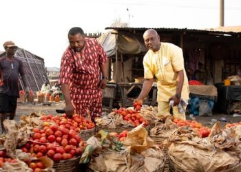 Jos-based Tomato Manufacturer Blames Seasonal Factors, Transport Costs for Tomato Price Surge