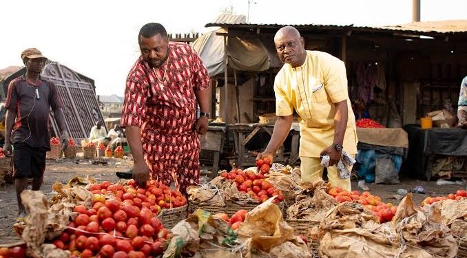 Jos-based Tomato Manufacturer Blames Seasonal Factors, Transport Costs for Tomato Price Surge