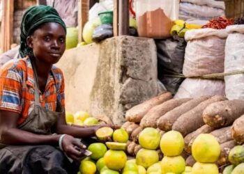 Minister Uzoka-Anite Announces Progress on MSME Loan Distribution