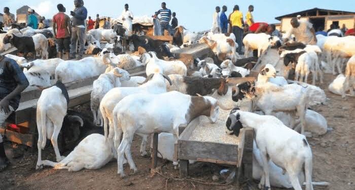 Traders Report Low Sales as Inflation Dampens Salah Festivities