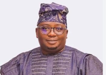 Nigeria Government Mini-Grid Energy Project Targets 138,000 Citizens