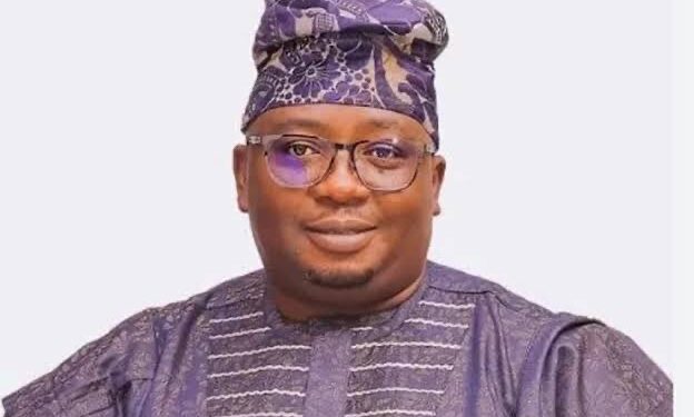 Nigeria Government Mini-Grid Energy Project Targets 138,000 Citizens