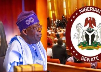 Senate Introduces Bill for Federal Agency to Oversee Local Government Elections in Nigeria