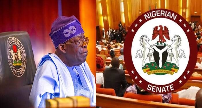 Senate Introduces Bill for Federal Agency to Oversee Local Government Elections in Nigeria