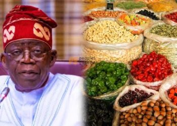FG’s N2 Trillion Plan Targets Food Inflation Relief
