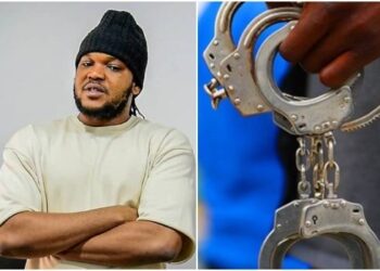 Nigerian Skit Maker Zfancy Freed Amid Cybercrime Centre Arrest