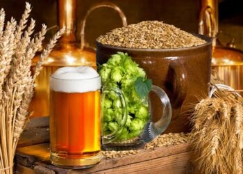 Cost Pressure Drive Breweries to N169.7 Billion Loss in Q1 2024