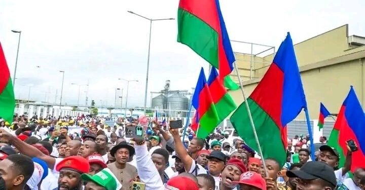Ohanaeze Sounds Caution: Igbo Youth Urged to Stay Clear of Nationwide Protests