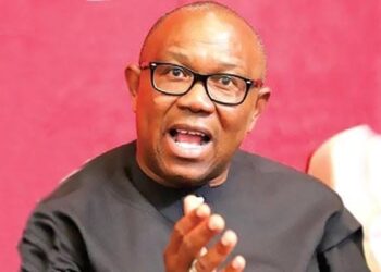 Ebonyi LP Throws Support Behind Peter Obi as National Party Leader