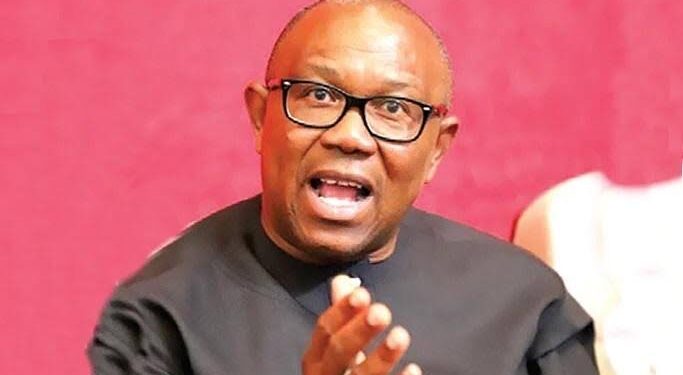 Ebonyi LP Throws Support Behind Peter Obi as National Party Leader