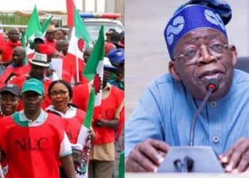 NLC Writes President Tinubu Seeking Redress for Board Exclusion