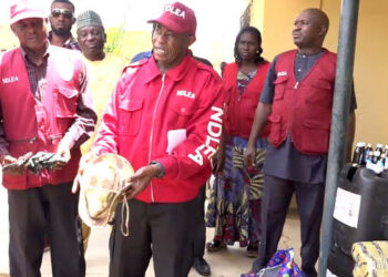 Nigeria’s Aggressive Crackdown on Surging Drug Production and Trafficking Gains Momentum