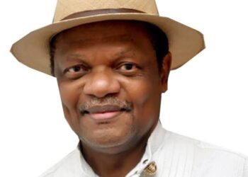 Atedo Peterside Pleads Protest Organizers to Call Off Demonstrations