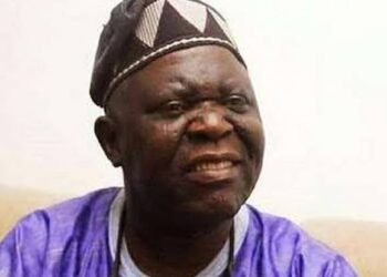 NADECO Leader Urges Tinubu to Revert Nigeria to Parliamentary System