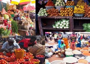 Food Prices Defy Harvest Season, Rise Across South-South Region