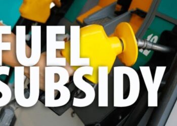 Nigeria Spends $600m Monthly Fuel On Import, Says Wale Edun