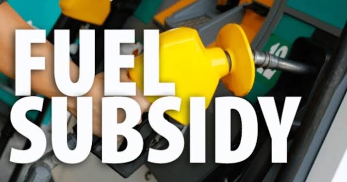 Nigeria Spends $600m Monthly Fuel On Import, Says Wale Edun