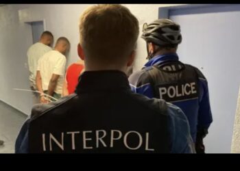 Interpol Arrests Over 300 Black Axe Members for Internet Fraud