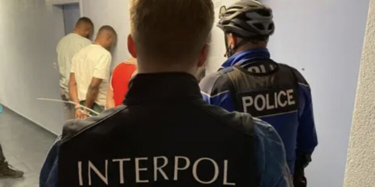 Interpol Arrests Over 300 Black Axe Members for Internet Fraud