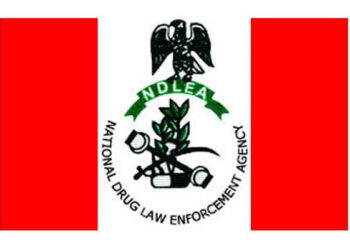 NDLEA’s Aggressive Drug War Leaves Ship Owners Counting Huge Loss