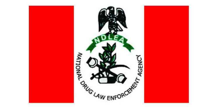 NDLEA’s Aggressive Drug War Leaves Ship Owners Counting Huge Loss