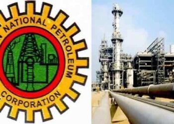 Oil Giant NNPC Eyes Public Offer, Shareholders to Decide