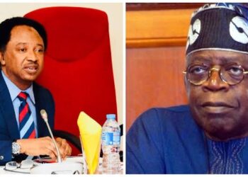 Shehu Sani Alleges Protests in the North Aimed at Overthrowing Tinubu